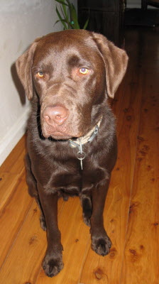 Buster