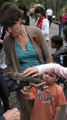 Double headed lizard.