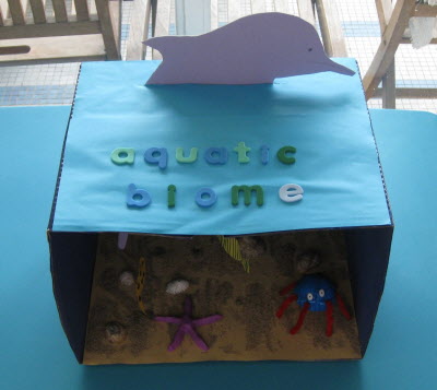 Acquatic biome - homework.