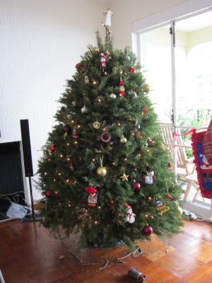 2010-12 IMG 051